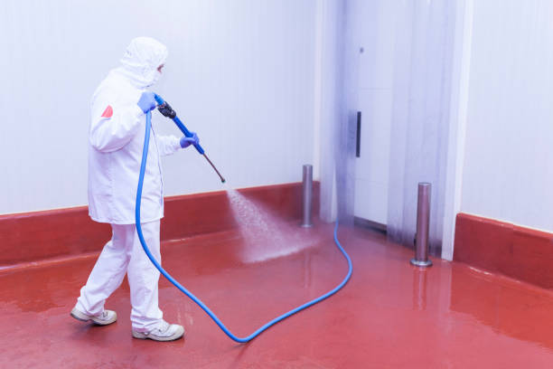 Best Restaurant Pressure Washing  in Lake Helen, FL