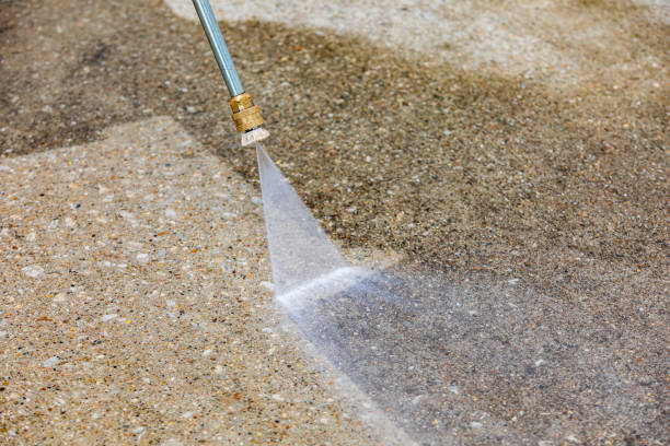 Best Roof Washing  in Lake Helen, FL