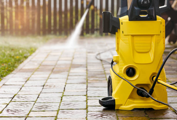 Best Solar Panel Cleaning  in Lake Helen, FL